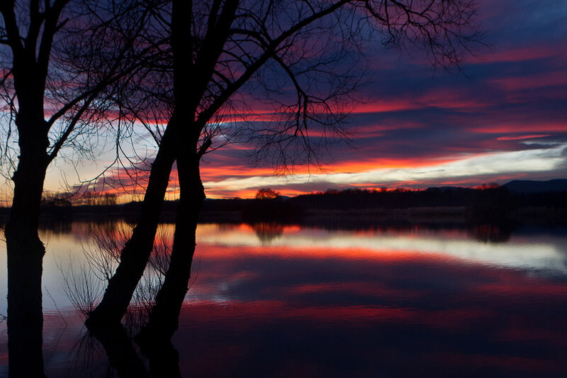 Silhouetted Trees at Sunset — Red, Dramatic, Photograph, Sky, Lake