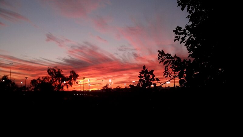 Silhouetted Trees at Sunset — Red, Dramatic, Photograph, Sky, Lights