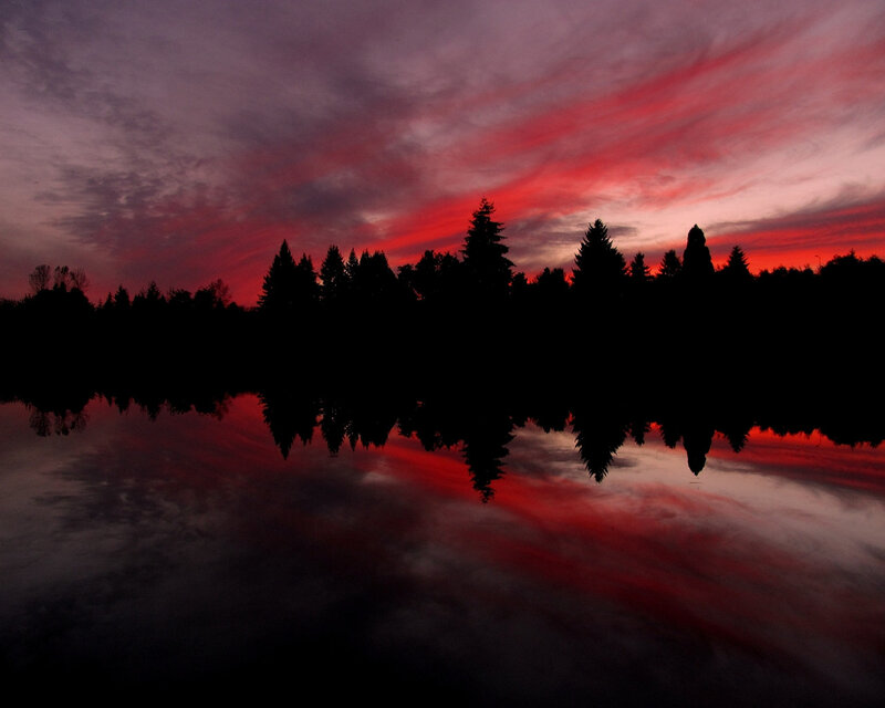 Silhouetted Trees at Sunset — Red, Dramatic, Photograph, Sky, Reflection