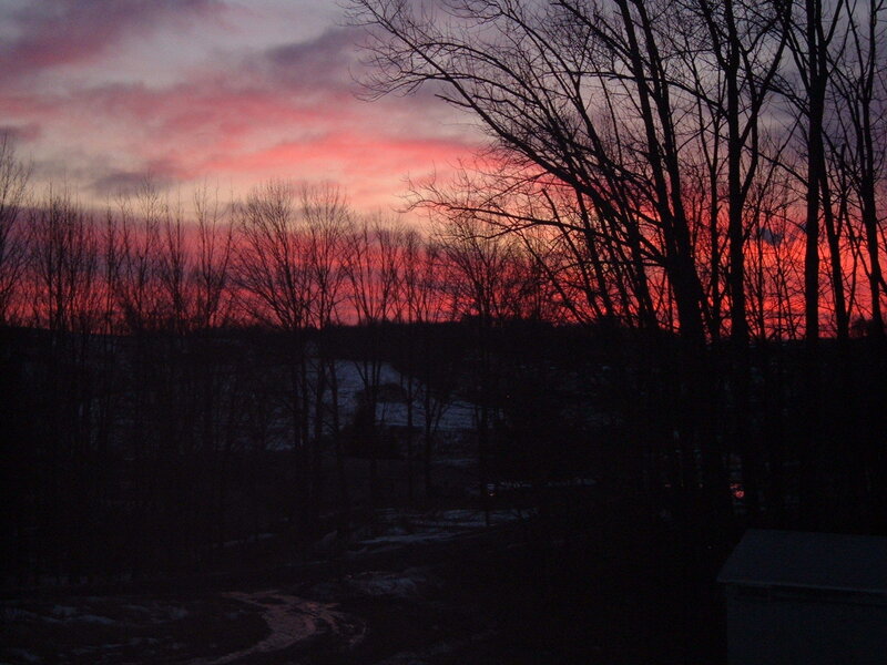 Silhouetted Trees at Sunset — Red, Dramatic, Photograph, Sky, Snow