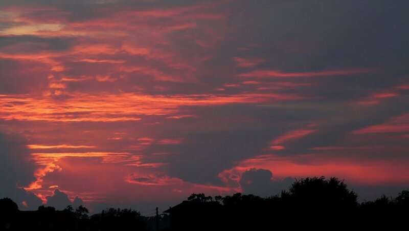 Silhouetted Trees at Sunset — Red, Dramatic, Photograph, Sky
