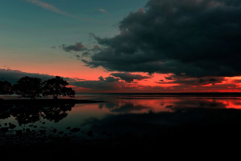 Silhouetted Trees at Sunset — Red, Dramatic, Photograph, Sky, Water, Clouds