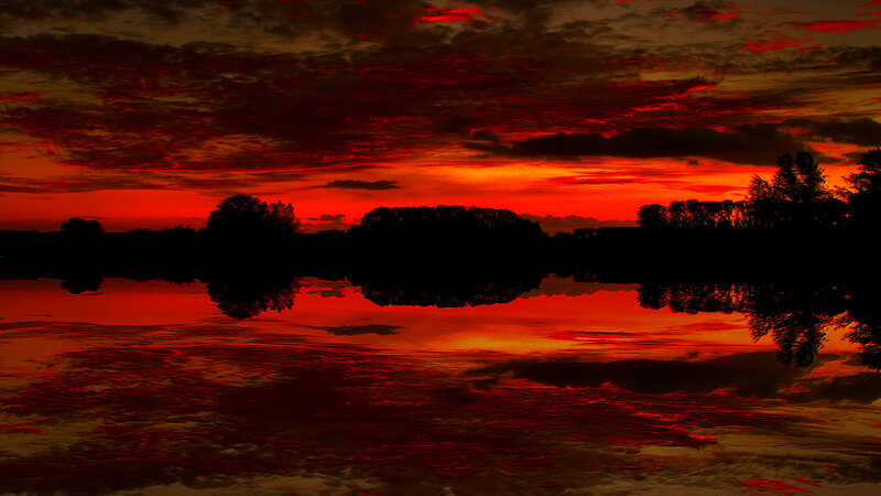 Silhouetted Trees at Sunset — Red, Dramatic, Photograph, Sky, Water
