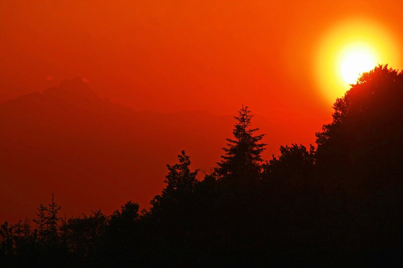 Silhouetted Trees at Sunset — Red, Dramatic, Photograph, Sun, Mountains