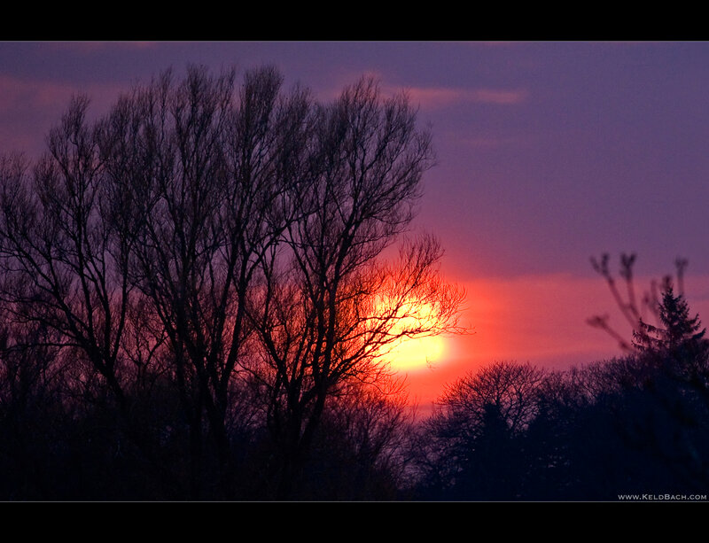Silhouetted Trees at Sunset — Red, Dramatic, Photograph, Sun, Sky