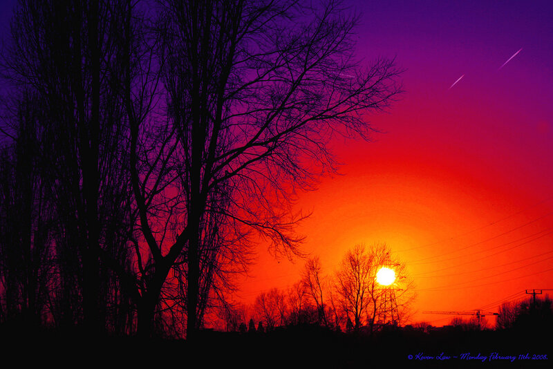 Silhouetted Trees at Sunset — Red, Dramatic, Photograph, Sun