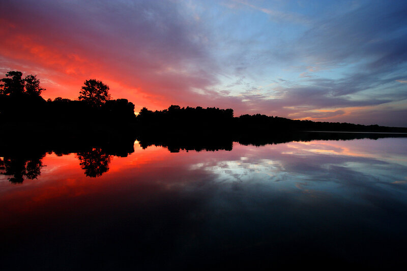 Silhouetted Trees at Sunset — Red, Serene, Photograph, Sky, Reflection