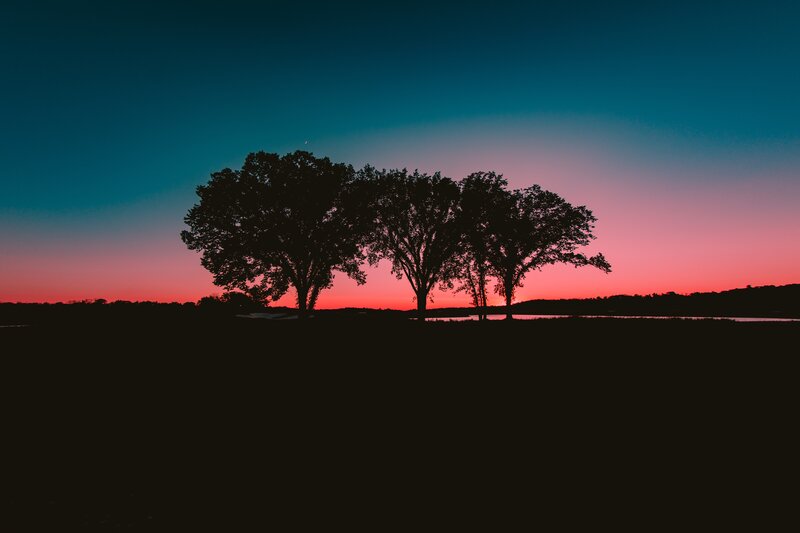 Silhouetted Trees at Sunset — Red, Serene, Photograph, Sky