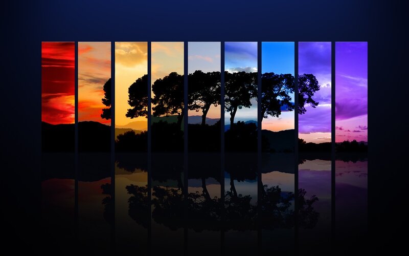 Silhouetted Trees at Sunset — Red, Serene, Photograph