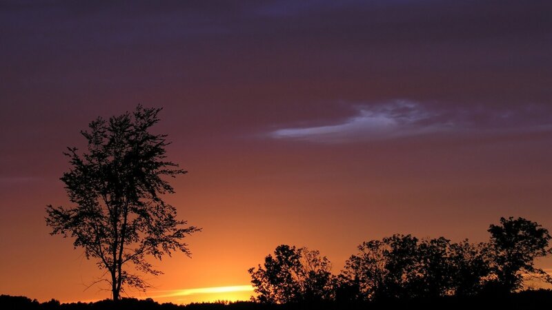 Silhouetted Trees at Sunset — Serene, Clouds