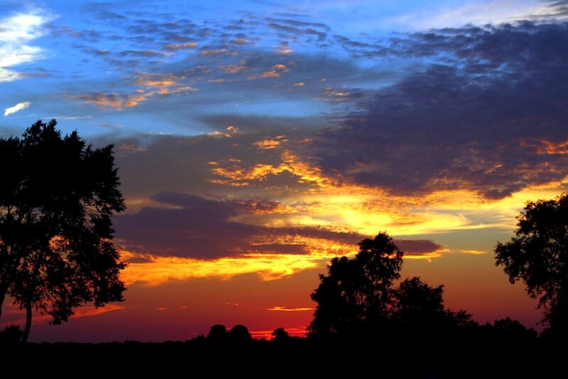 Silhouetted Trees at Sunset — Sky, Blue