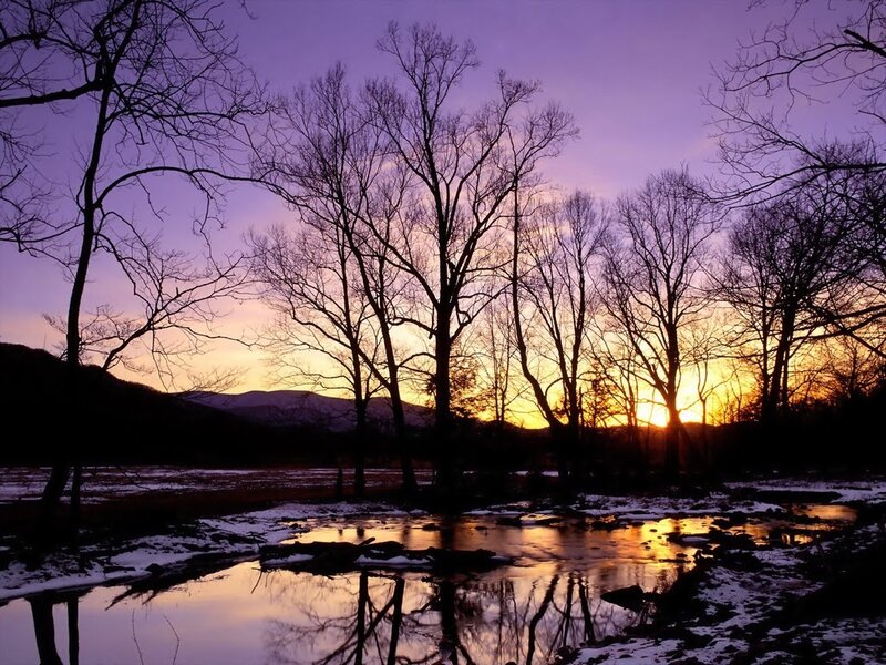 Silhouetted Trees at Sunset — Snow
