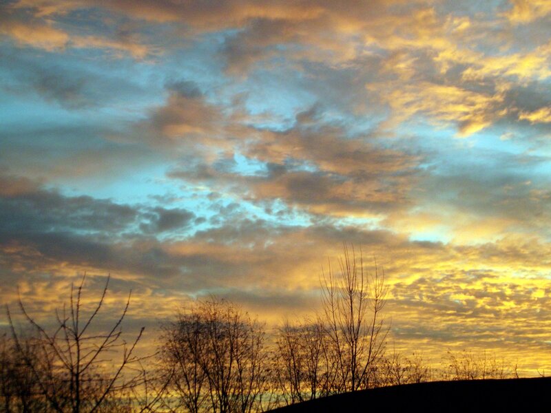 Silhouetted Trees at Sunset — Yellow, Dramatic, Photograph, Clouds, Sky