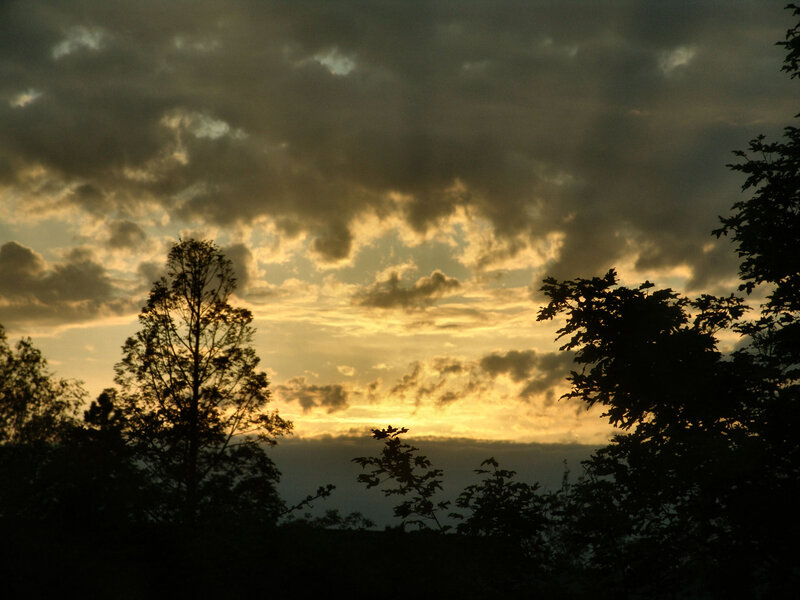 Silhouetted Trees at Sunset — Yellow, Dramatic, Photograph, Clouds