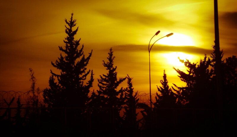 Silhouetted Trees at Sunset — Yellow, Dramatic, Photograph, Streetlight