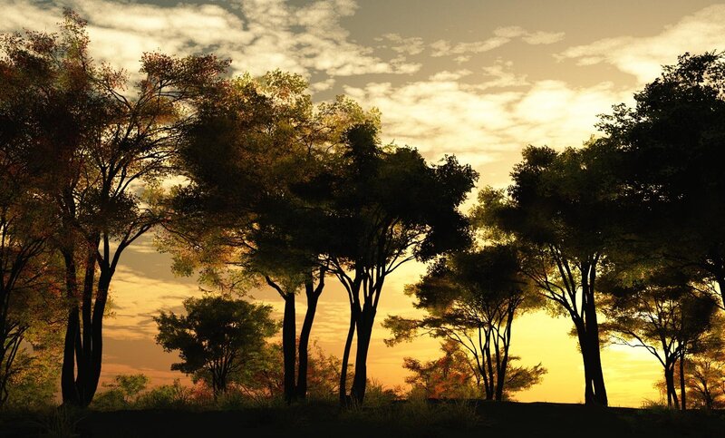 Silhouetted Trees at Sunset — Yellow, Serene, Digital Art
