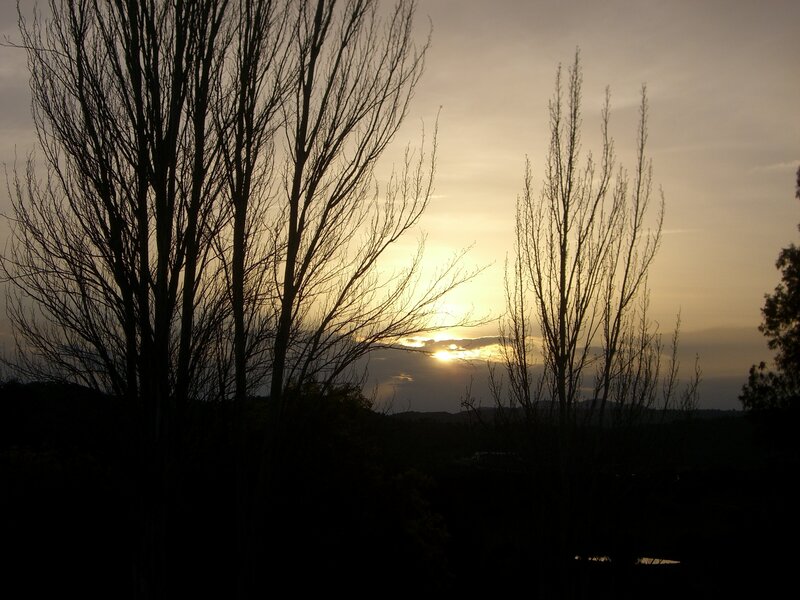 Silhouetted Trees at Sunset — Yellow, Serene, Photograph, Sun, Sky, Hills