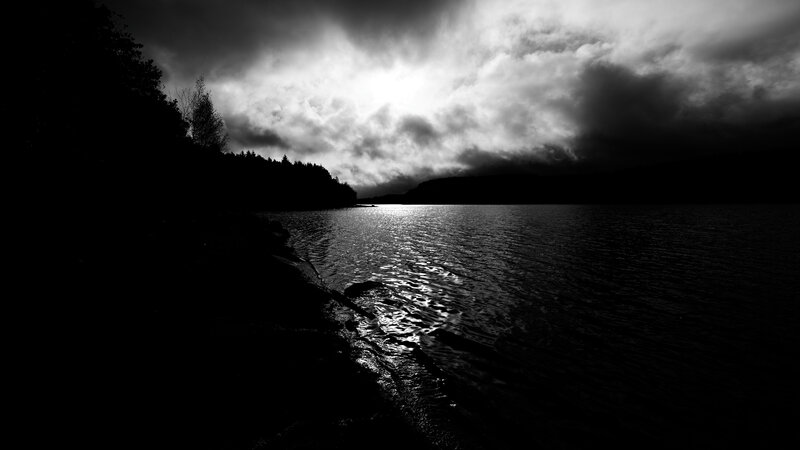 Silhouetted Trees by Lake — Black
