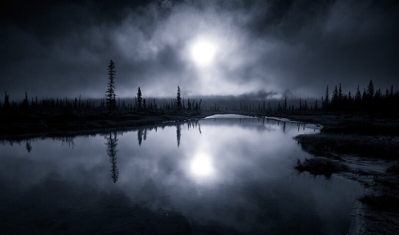 Silhouetted Trees by Lake — Blue, Dark