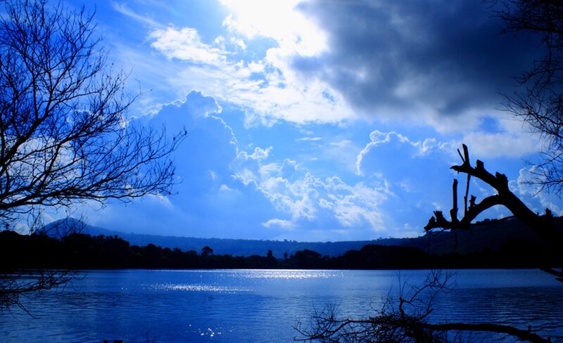 Silhouetted Trees by Lake — Blue, Dramatic, Afternoon