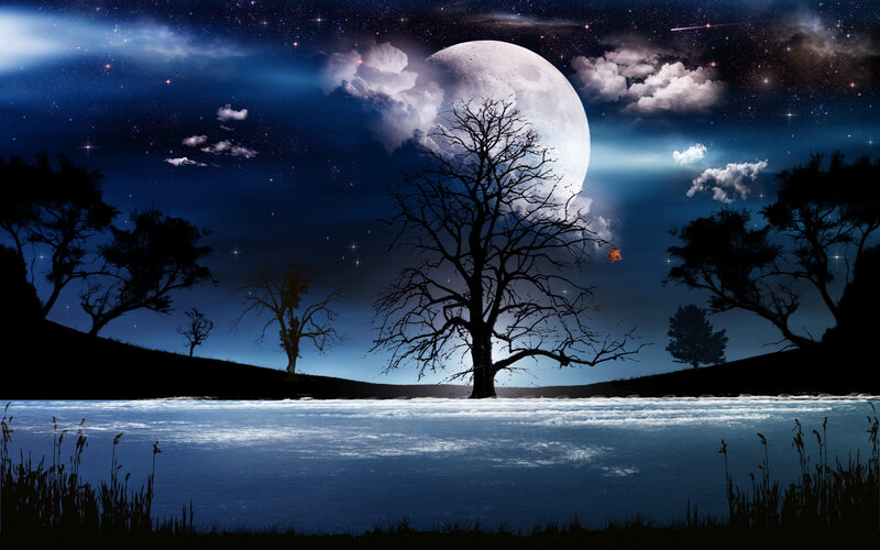 Silhouetted Trees by Lake — Blue, Serene, Night