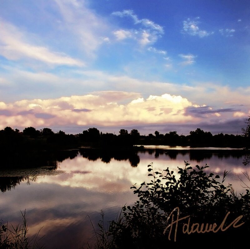 Silhouetted Trees by Lake — Blue, Serene, Sunset