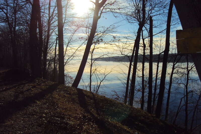 Silhouetted Trees by Lake — Blue, Serene