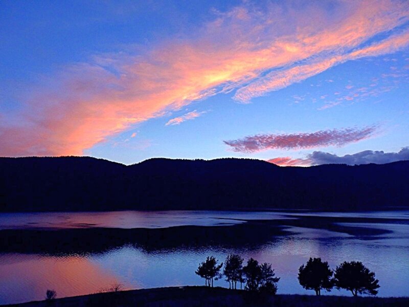 Silhouetted Trees by Lake
