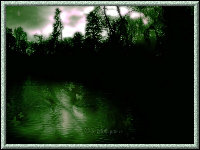 Silhouetted Trees by Pond