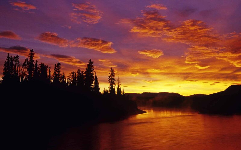 Silhouetted Trees by River — Orange