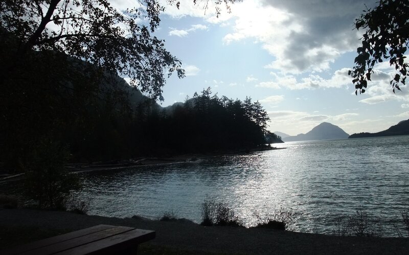 Silhouetted Trees by Water — Blue, Serene