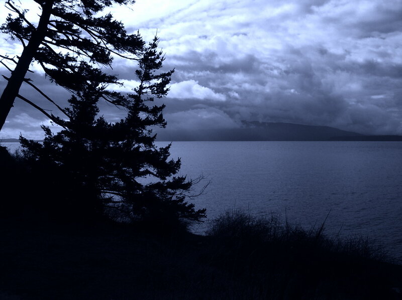 Silhouetted Trees by Water — Blue