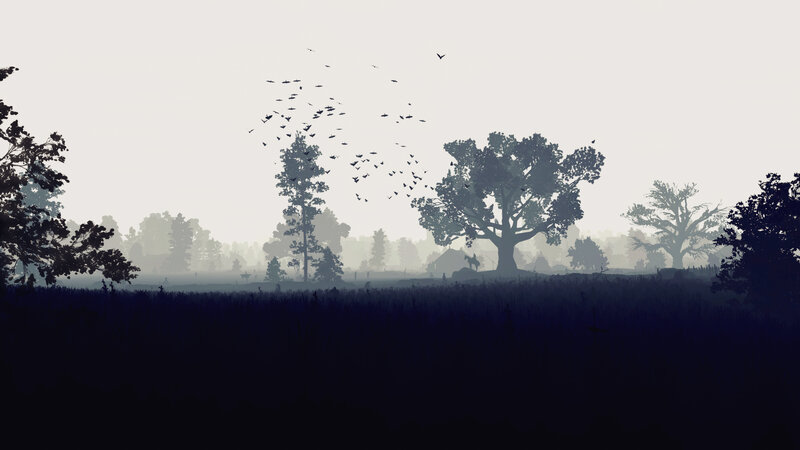 Silhouetted Trees in Field — Black, Serene