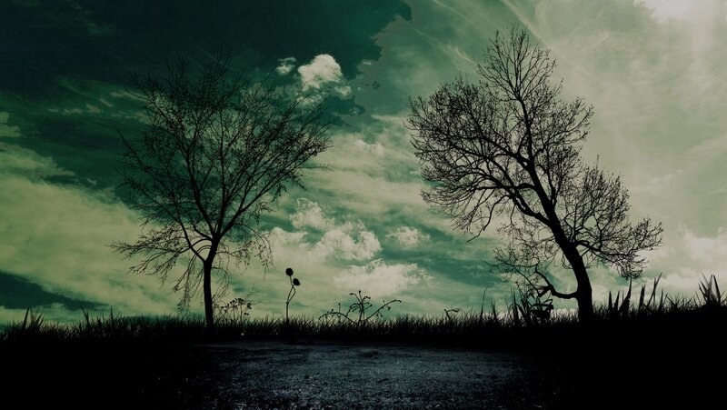 Silhouetted Trees in Field — Green, Dramatic
