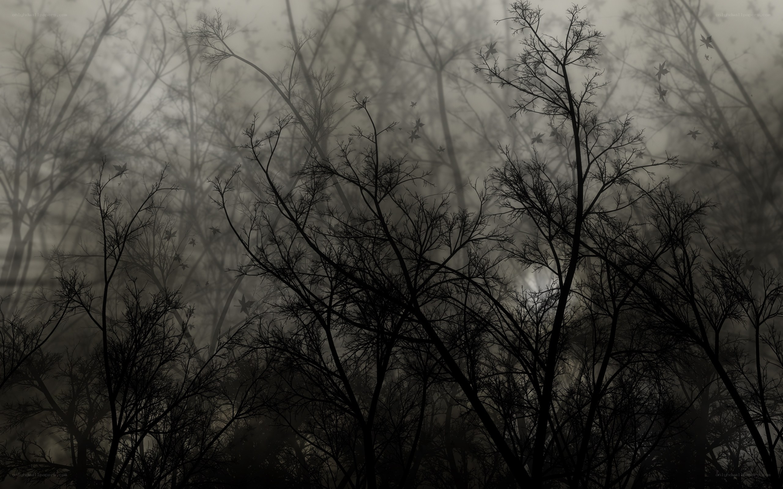 Silhouetted trees in fog