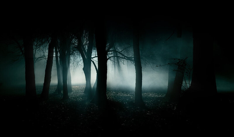 Silhouetted Trees in Fog — Black, Dark, Mysterious