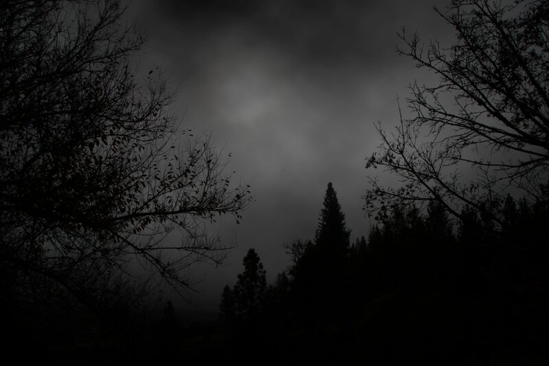 Silhouetted Trees in Fog — Black, Dark, Night, Photograph, Sky