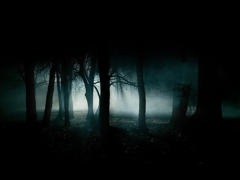 Silhouetted Trees in Fog — Black, Eerie, Night, Photograph, Darkness