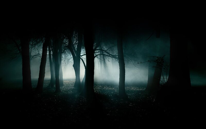 Silhouetted Trees in Fog — Black, Eerie, Night
