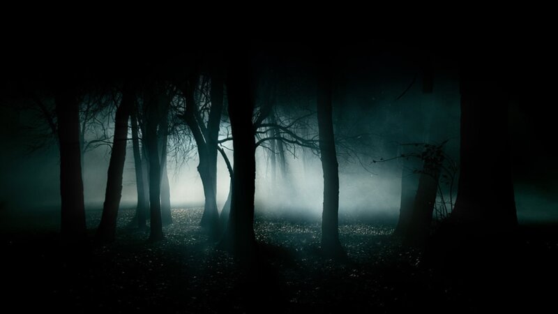 Silhouetted Trees in Fog — Black, Mysterious, Night, Photograph, Ground