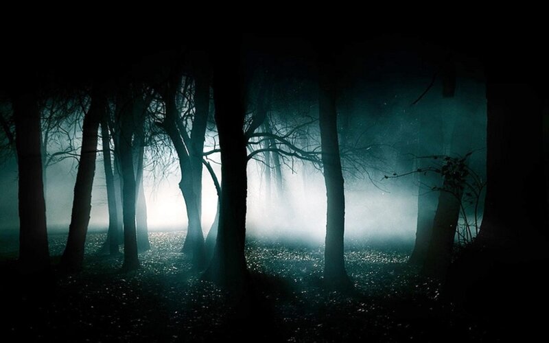 Silhouetted Trees in Fog — Black, Mysterious, Night