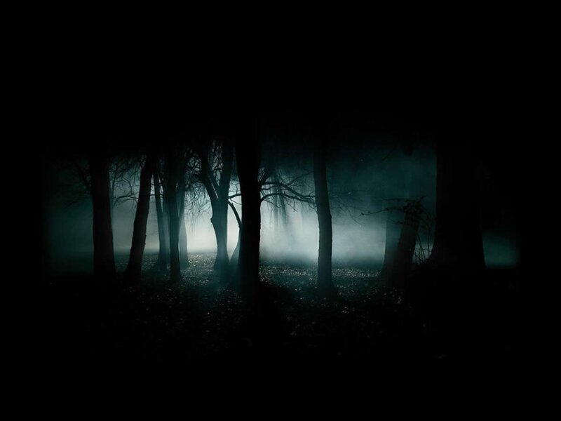 Silhouetted Trees in Fog — Black