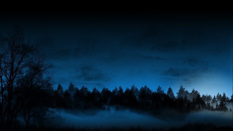 Silhouetted Trees in Fog — Blue, Dark, Night, Digital Art