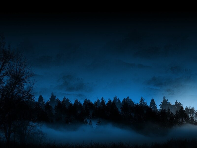 Silhouetted Trees in Fog — Blue, Dark, Night