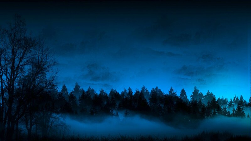 Silhouetted Trees in Fog — Blue, Mysterious