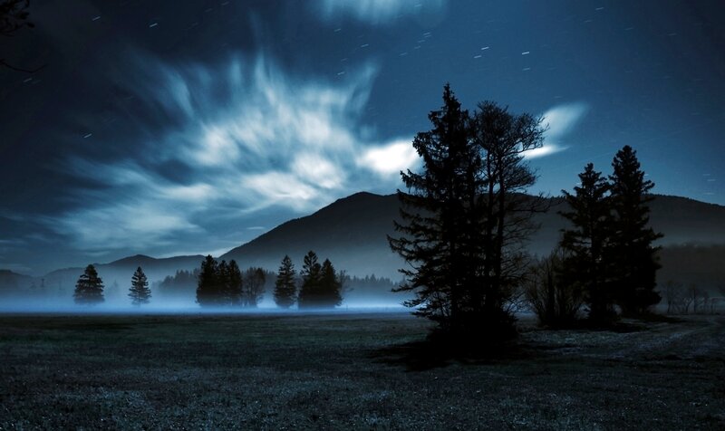 Silhouetted Trees in Fog — Blue, Serene, Night