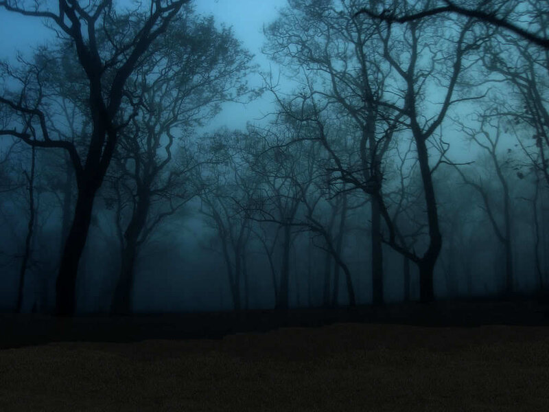 Silhouetted Trees in Fog — Blue
