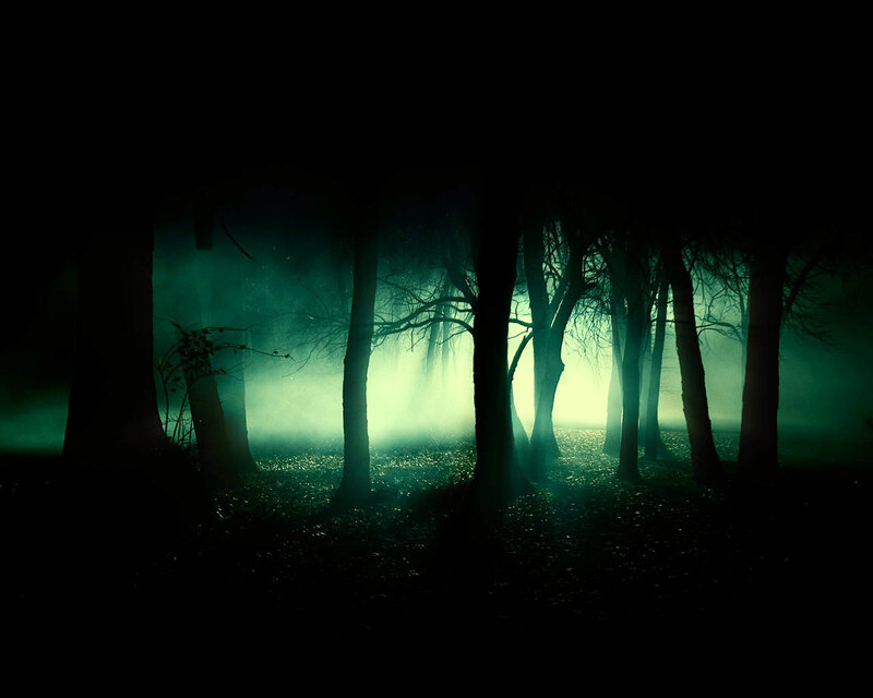 Silhouetted Trees in Fog — Green, Dark, Night