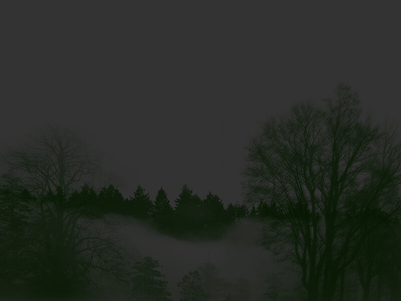 Silhouetted Trees in Fog — Green, Dark