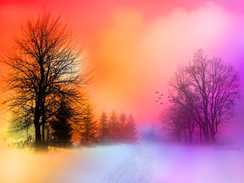 Silhouetted Trees in Fog — Red